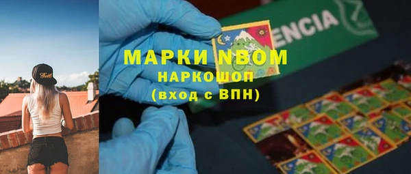 гашик Михайловск
