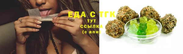 гашик Михайловск