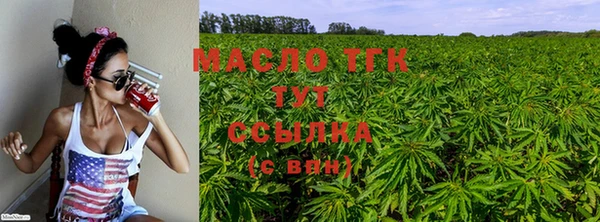 гашик Михайловск