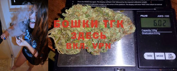 гашик Михайловск