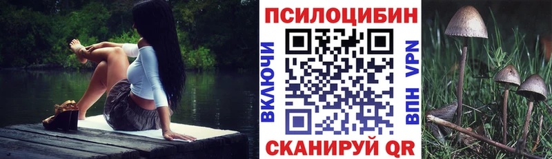Галлюциногенные грибы Psilocybine cubensis  Северо-Курильск 