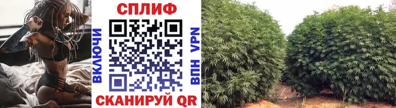 как найти закладки  Северо-Курильск  Каннабис THC 21% 